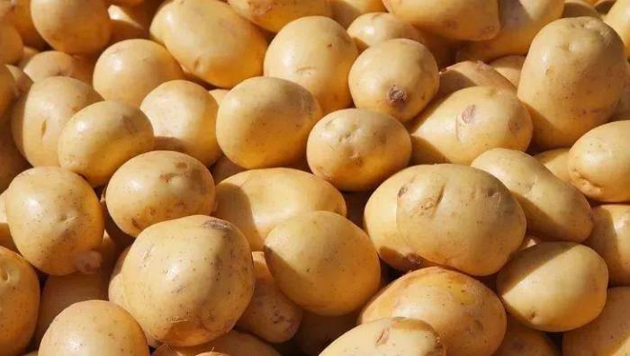 几种养在一起可以互相促进生长的蔬菜,还能很好地减少病虫害