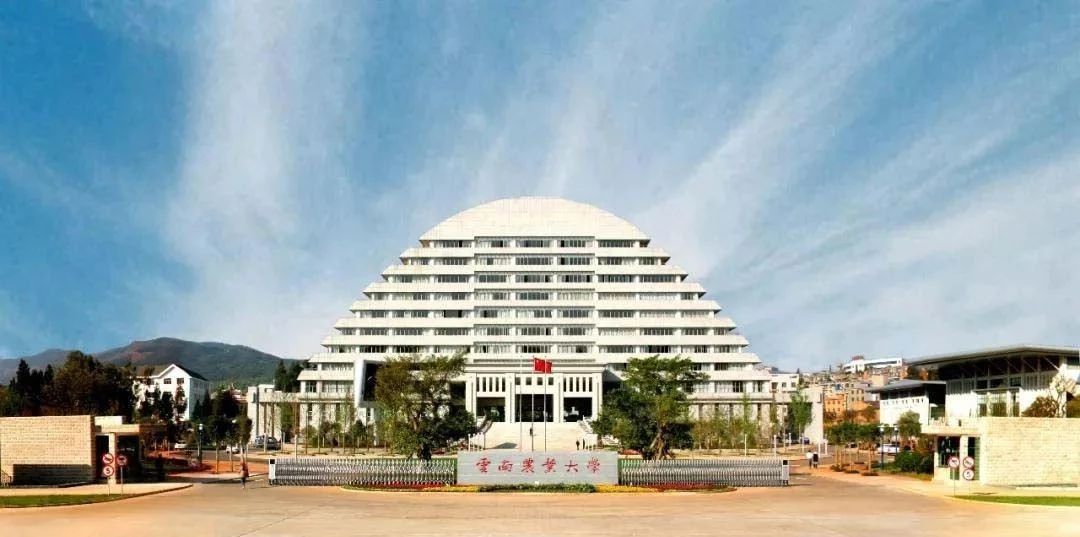 许家印120亿打造莲花形足球场,许家印恒大足球专业足球场