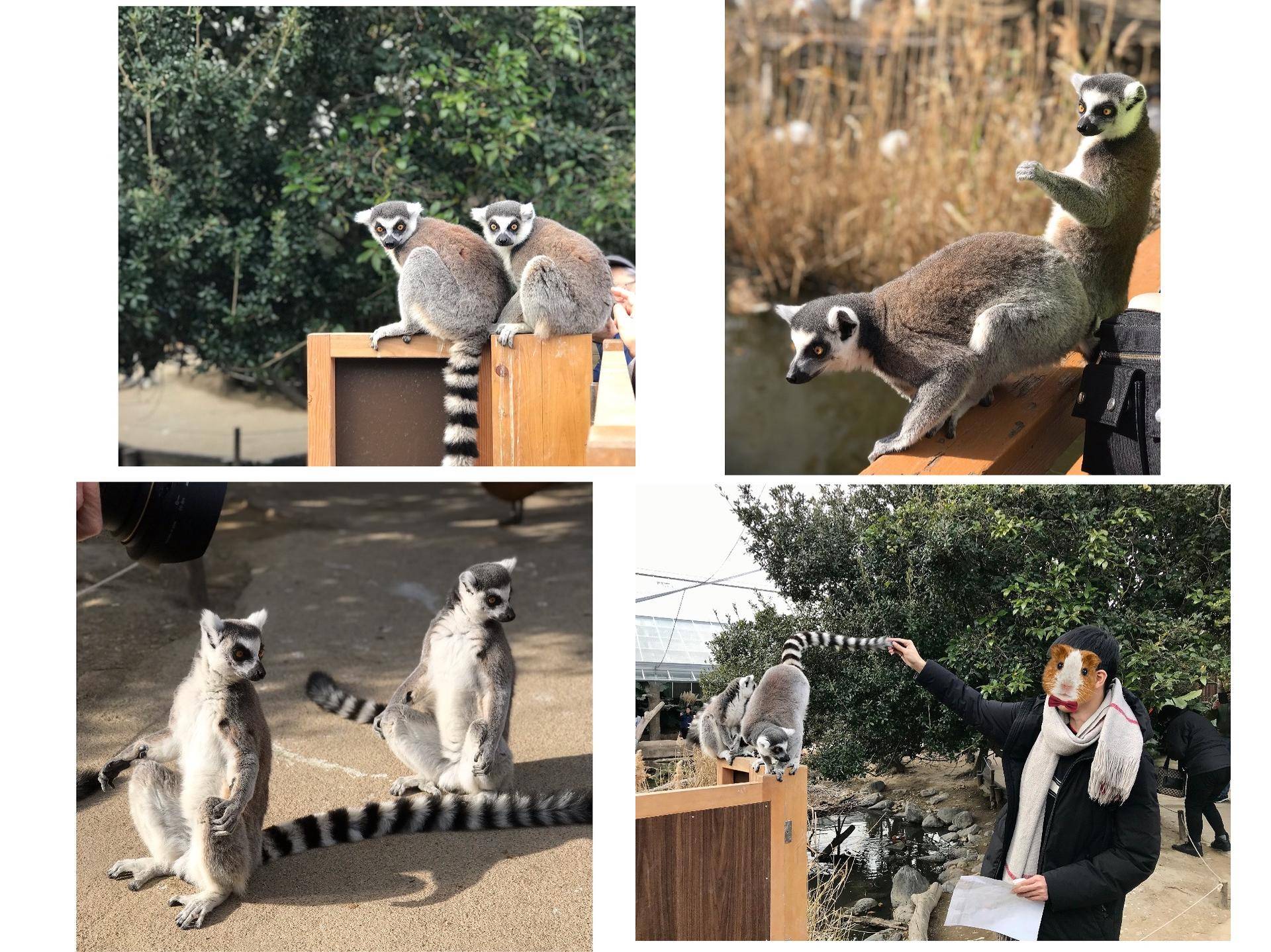 日本名古屋自由行攻略,日本高山自由行攻略