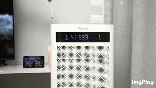 买空气净化器是不是交智商税,吸猫毛的空气净化器是智商税吗