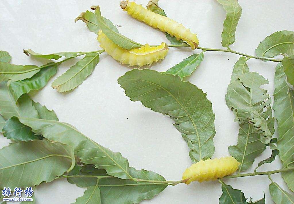 中国古代八大惊天骗术,中国十大诡异传说