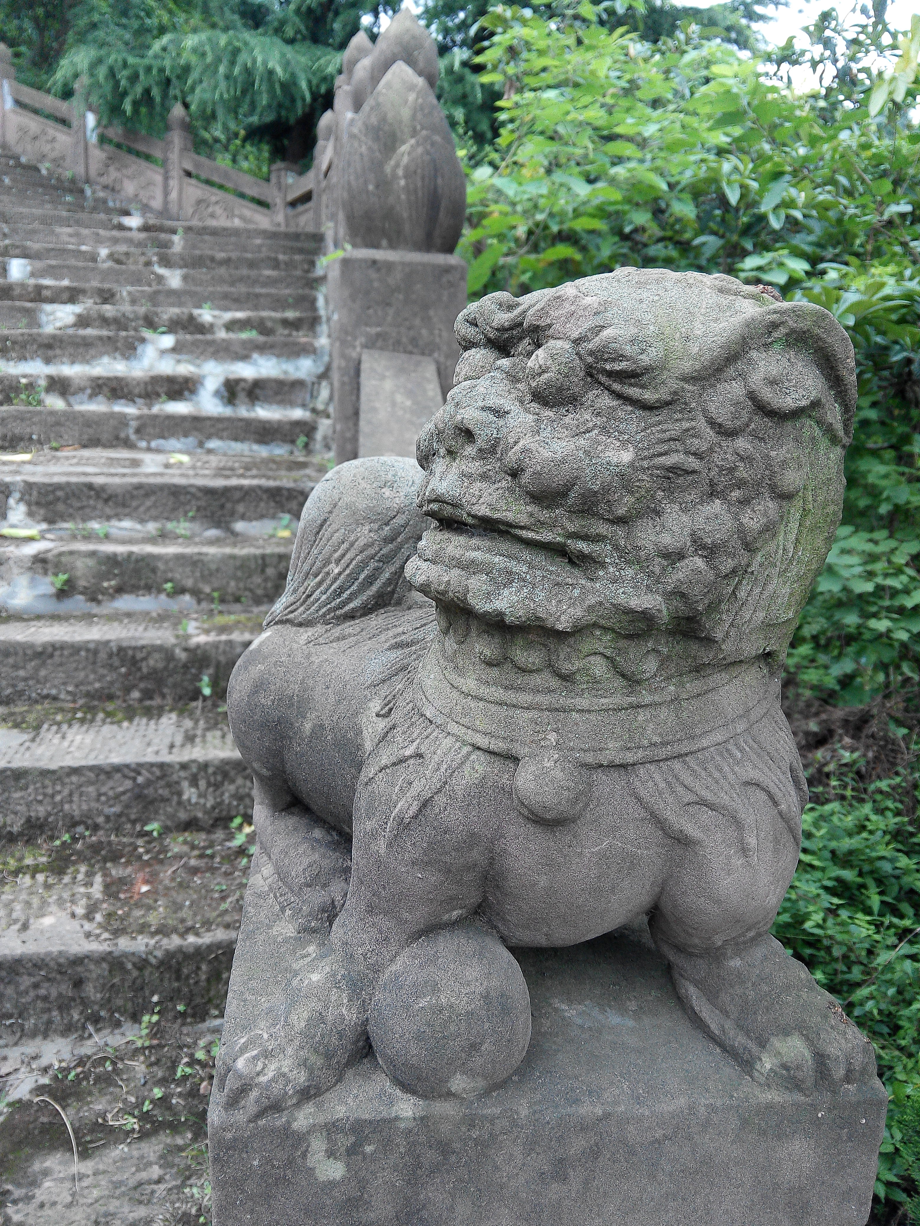 龙泉龙椅山植物园一日游,成都龙泉山最佳观景地方