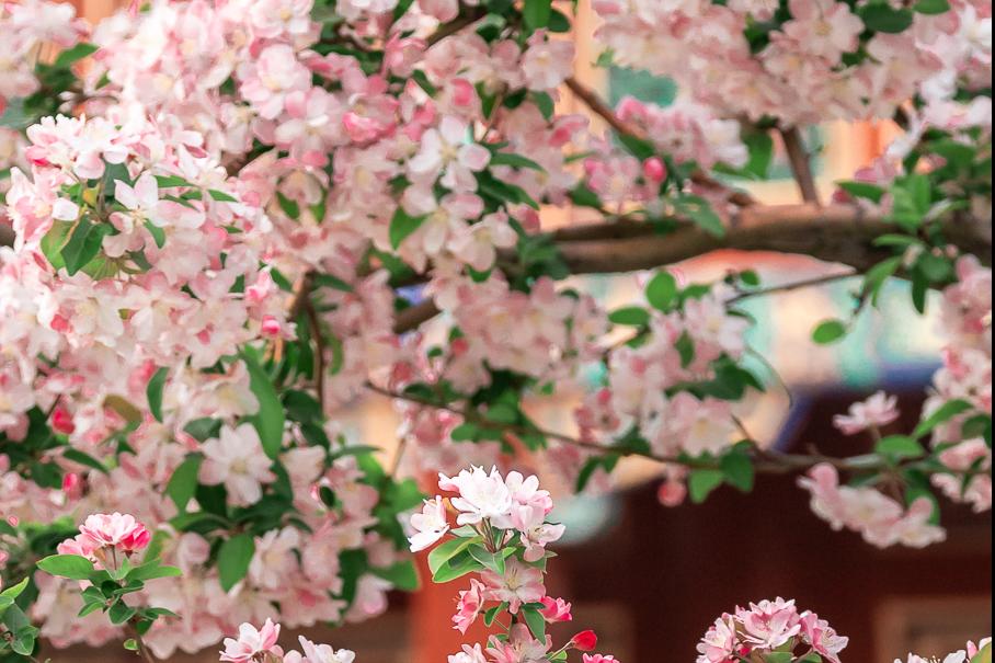 平凡的世界第二部心灵感悟 (再读平凡的世界苦难篇)