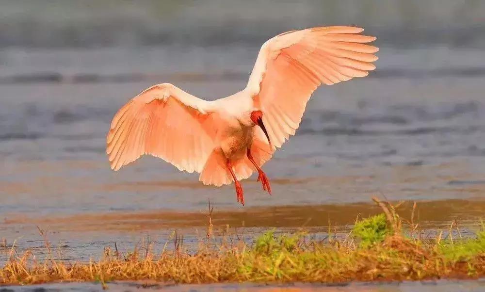 2023中国县域最美榜单,中国十大最美县域