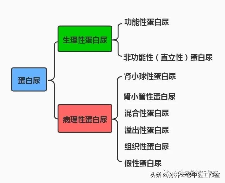 尿液检查白细胞和尿蛋白一样吗,尿蛋白定量检查的临床意义是什么