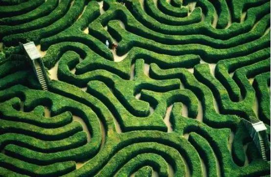 空港花田今天收门票吗,空港花田19.9门票