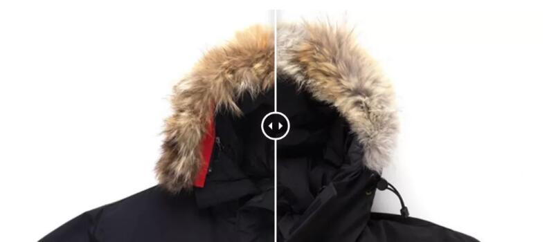 上万元的羽绒服,上万元一只的柯尔鸭凭啥这么贵