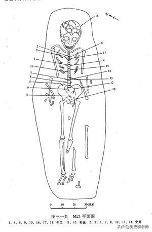 少女尸体被挖出,7000年前少女骸骨之谜