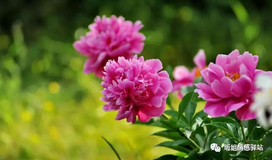 涂磊老师的经典语录句句见血,涂磊经典语录句句入心