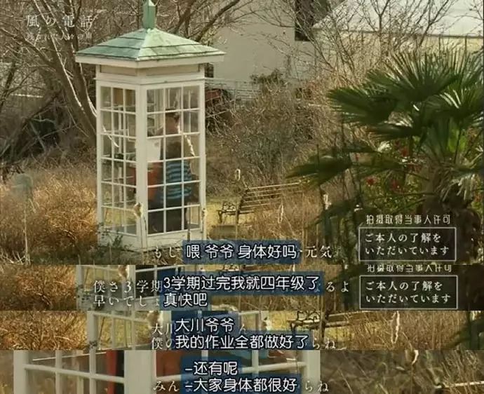 日本高分纪录片免费观看,日本的高分纪录片