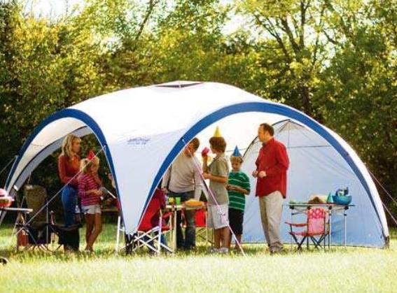 被蜜蜂蛰了头晕是正常现象吗,被蜜蜂蜇了头昏可以吃什么药