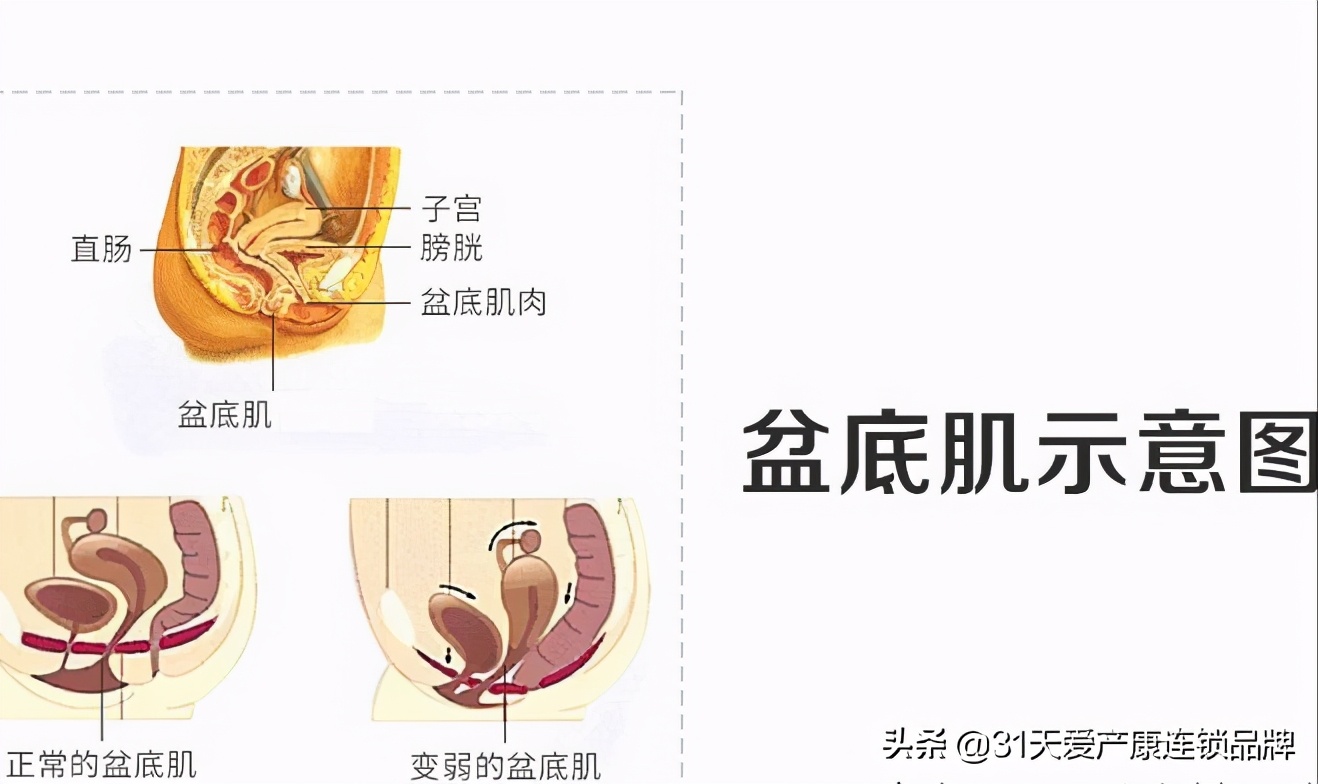 不管是顺产还是刨腹产，宝爸和宝妈都需要知道的产后恢复知识