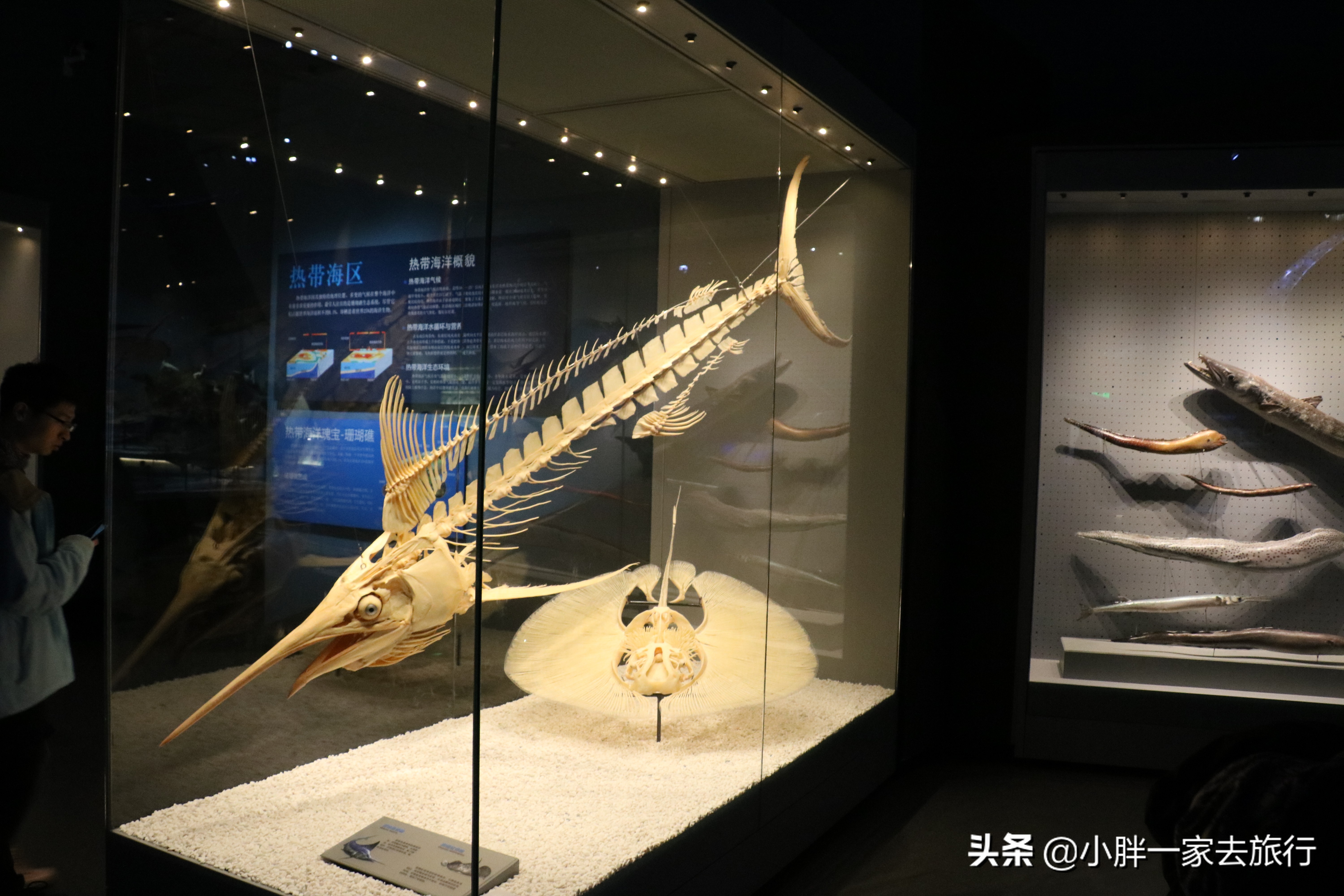 最大的北京海洋博物馆,海上故宫国家海洋博物馆