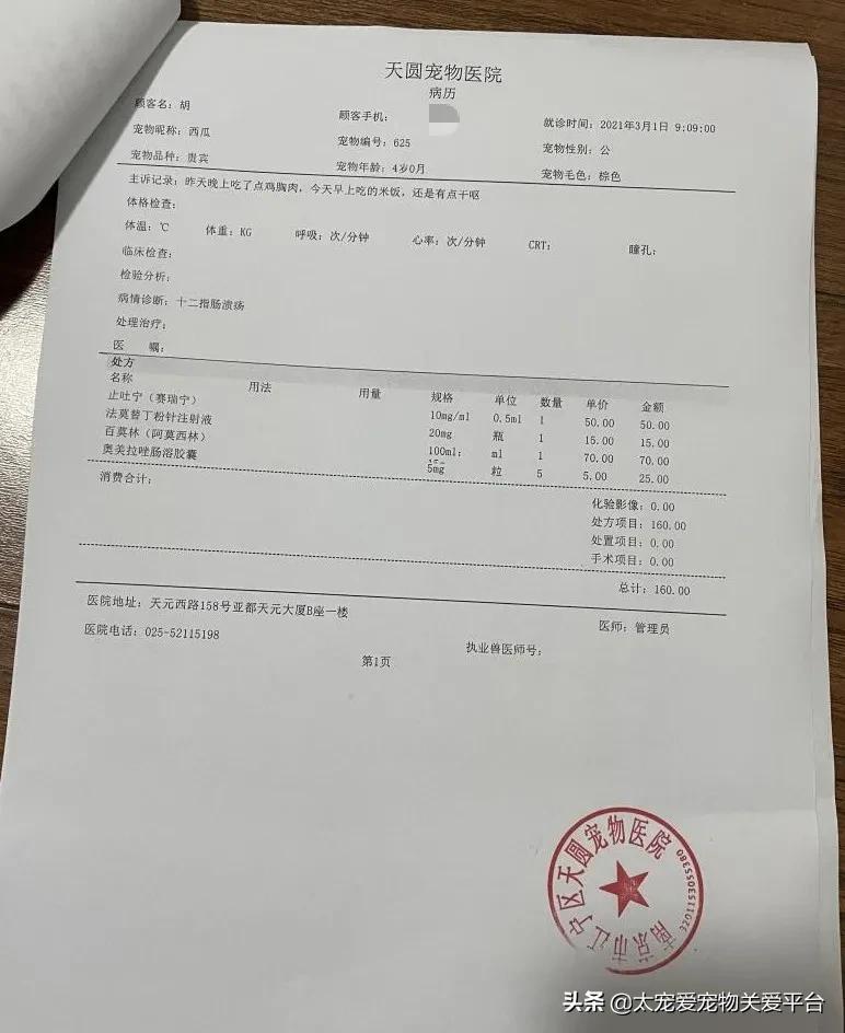 十二指肠溃疡丨太宠爱理赔案例南京天圆宠物医院