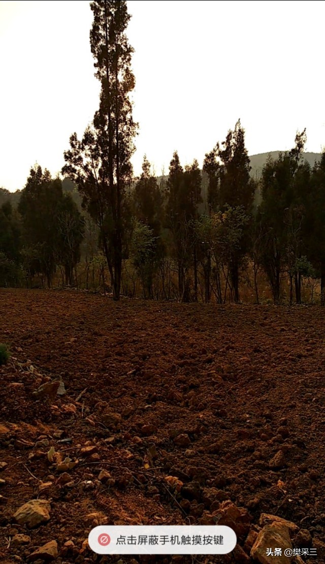 昆明北市区的价值和意义,昆明北市区的发展历程
