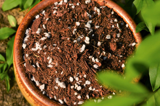 怎样把黄土变黑土,如何把黄土变疏松