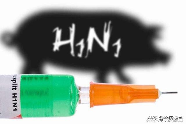 口蹄疫过敏打什么针,羊口蹄疫疫苗过敏症状