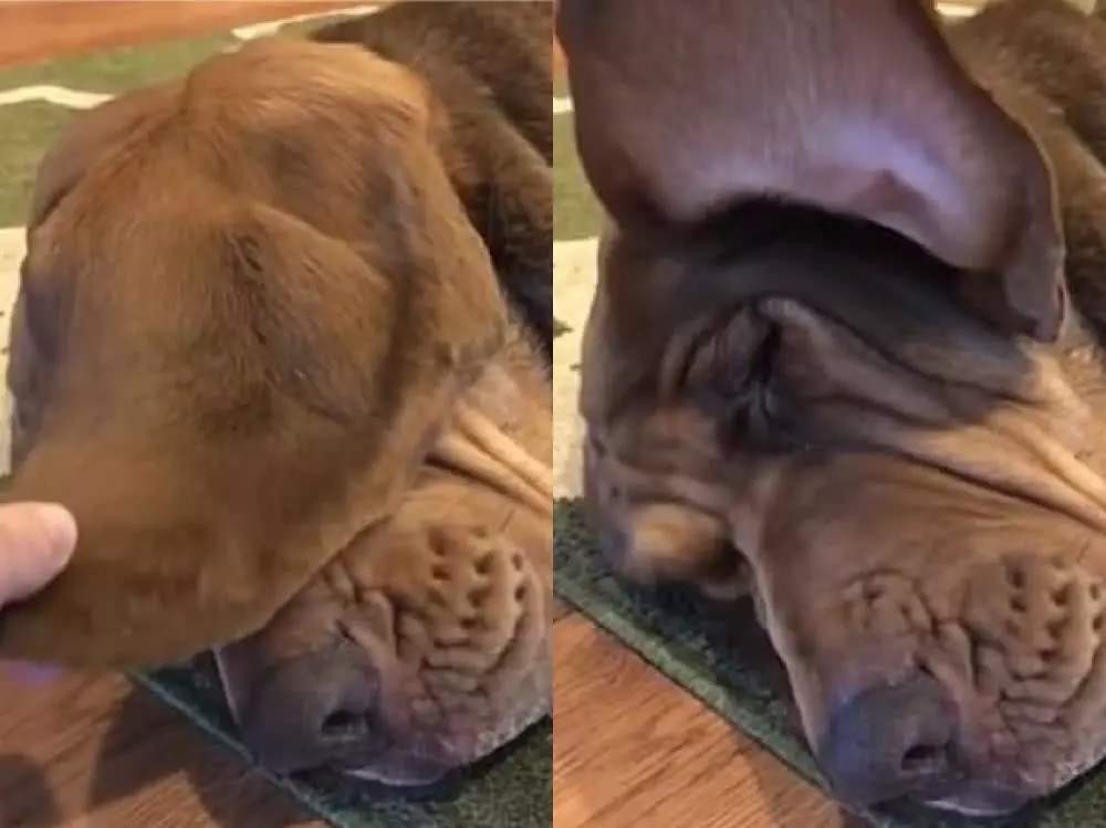 杂声干扰听力下降,7khz以上音频听力下降