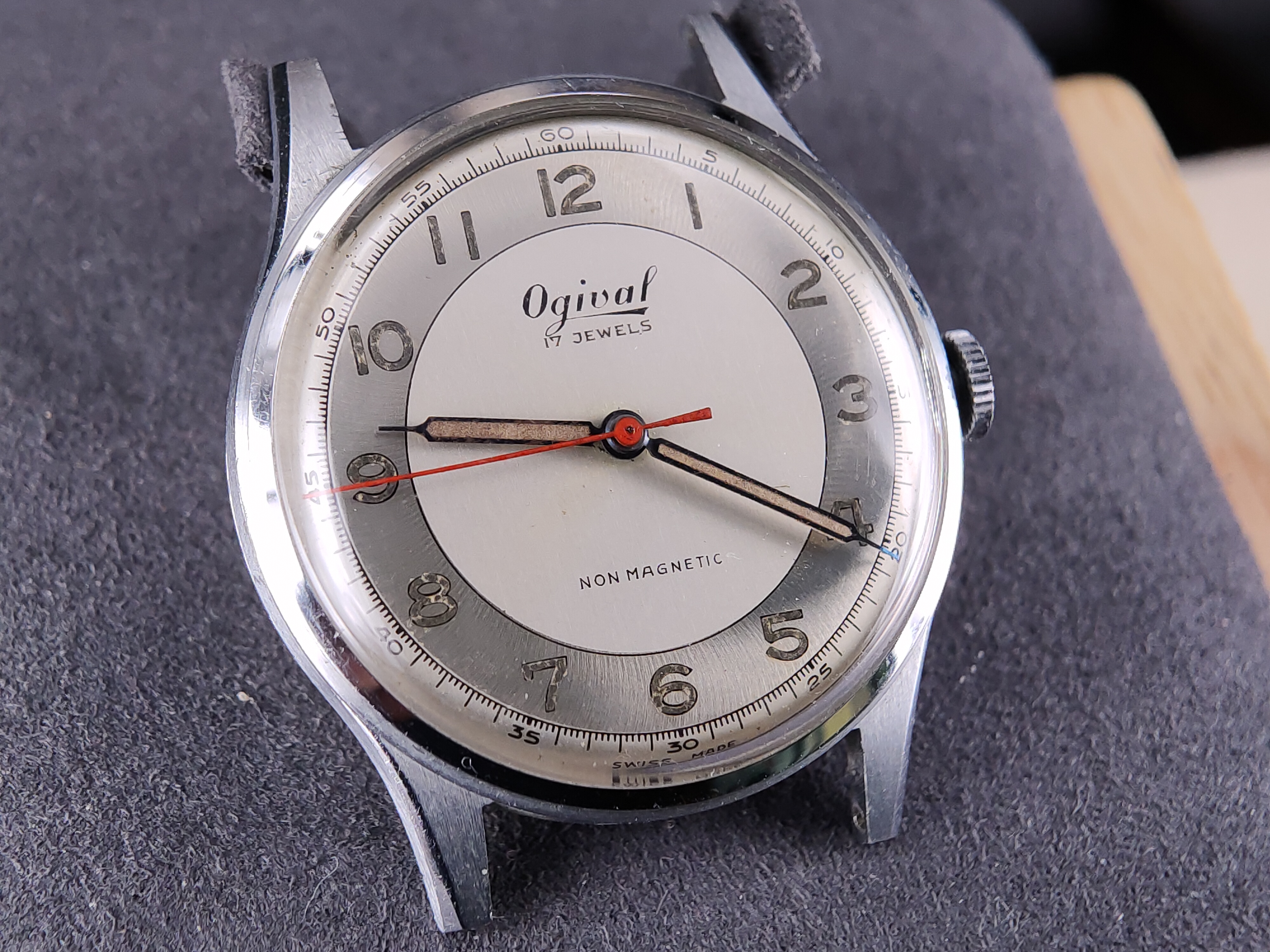 因为一条鱼爱上一个人,因一条鱼丢了一条命