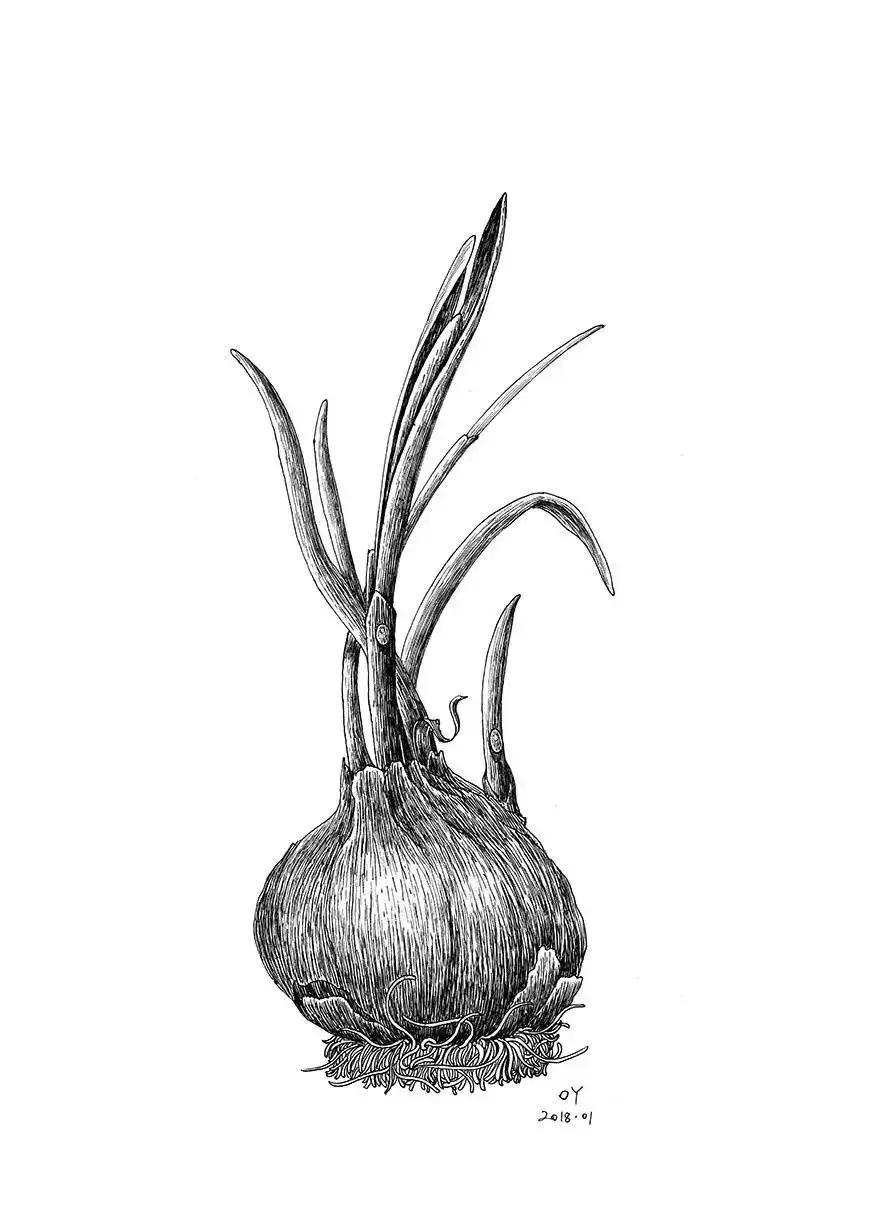 最简单的针管笔,如何练好针管笔