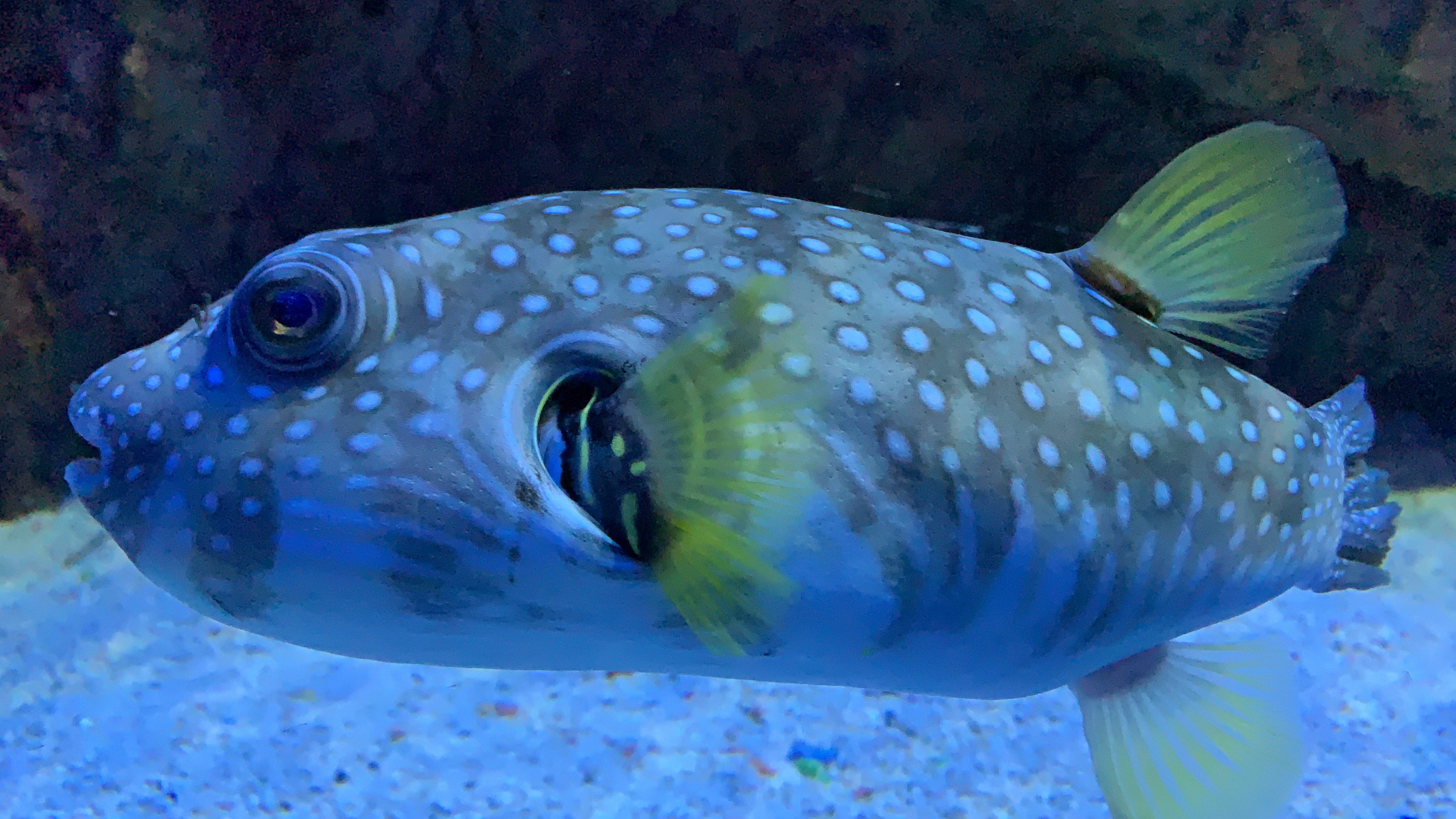 北京富国海底世界周围景点,工体富国海底世界游览攻略