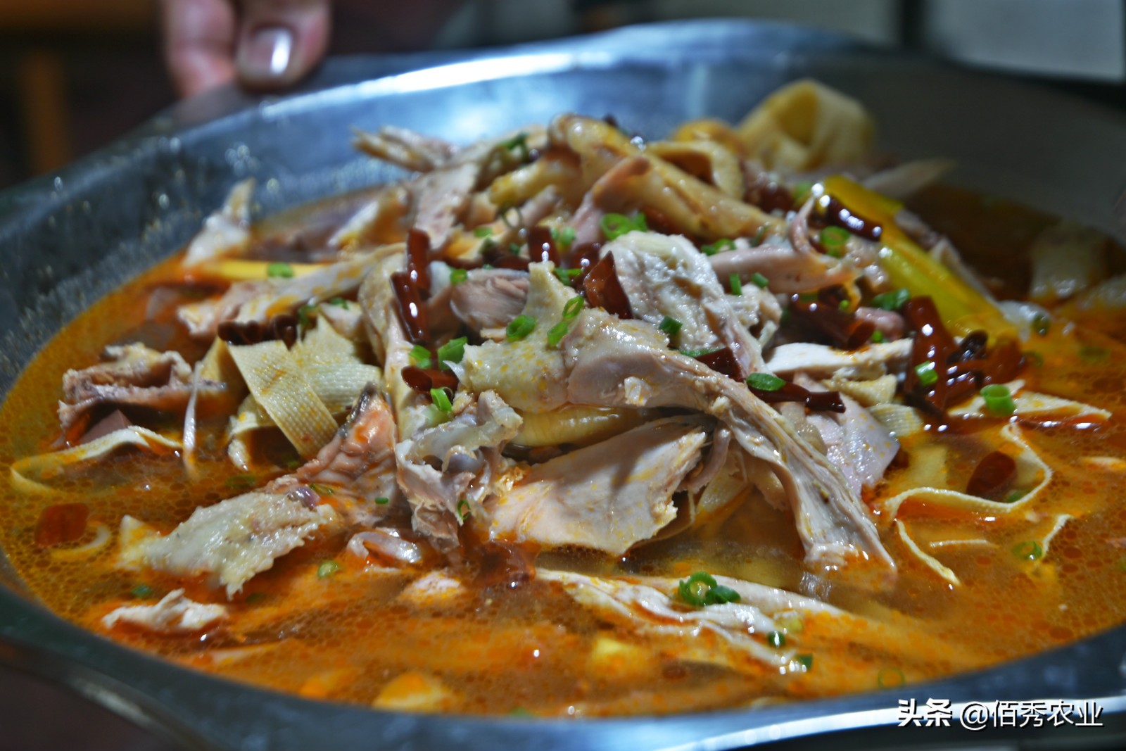 放弃年薪50万高薪去创业,农村小伙子放弃打拼