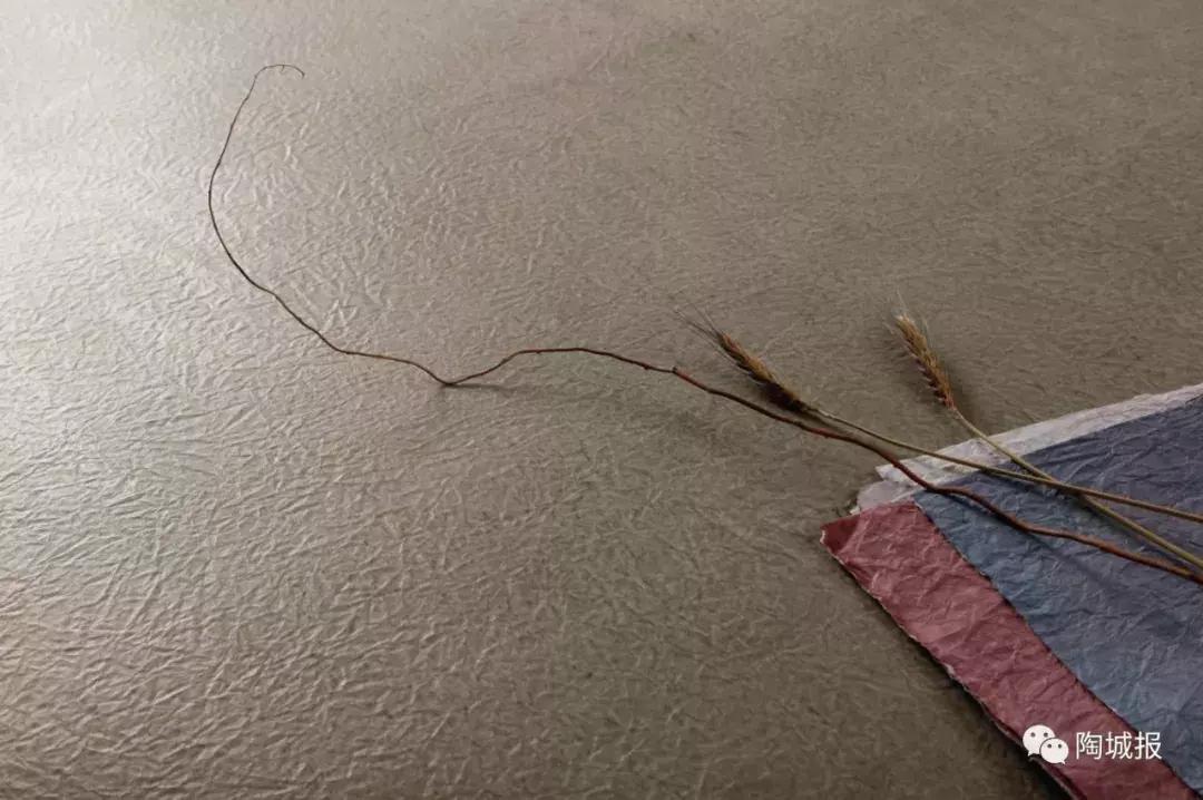 东鹏鹰牌瓷砖,鹰牌和东鹏哪个性价比高