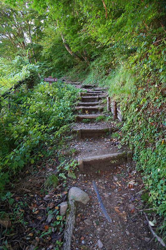 五天四夜日本邮轮游,名古屋四日自由行攻略