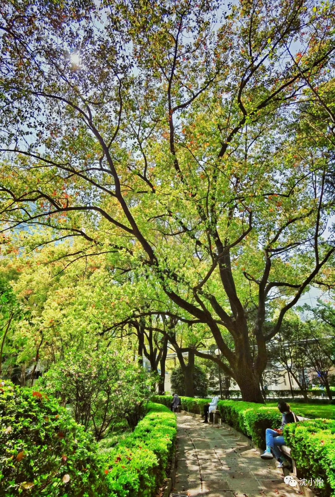 离死亡最近的一次是什么感觉,离死亡很近是什么感受