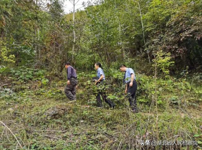 “创争当”检徽之光丨守心尽责无穷期，不觉山中日月长