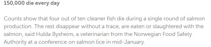 日本三文鱼寄生虫感染,三文鱼寄生虫能杀死吗