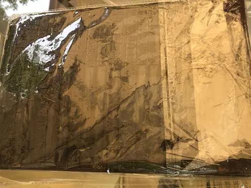 线下|2020北京书市开幕，孔网亮点指南