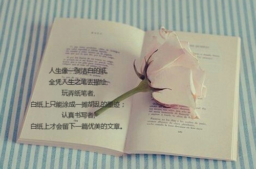 文案高级有深度霸气情感语录古风,古风优美句句走心的情感文案