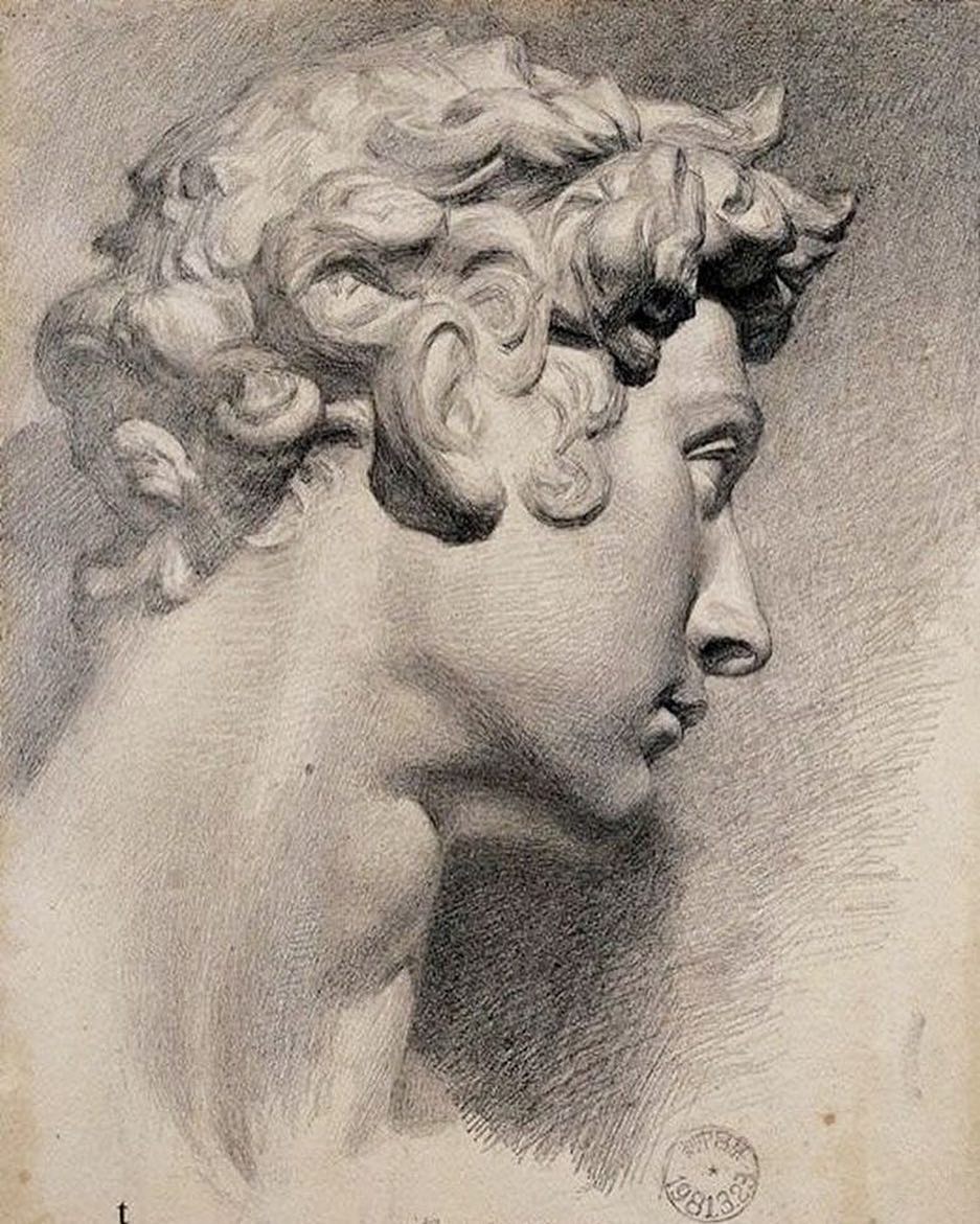 石膏头像大卫素描教程步骤,小卫石膏头像素描教程完整版