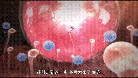 科学家发现精子与卵子,科学家发现精子和卵子