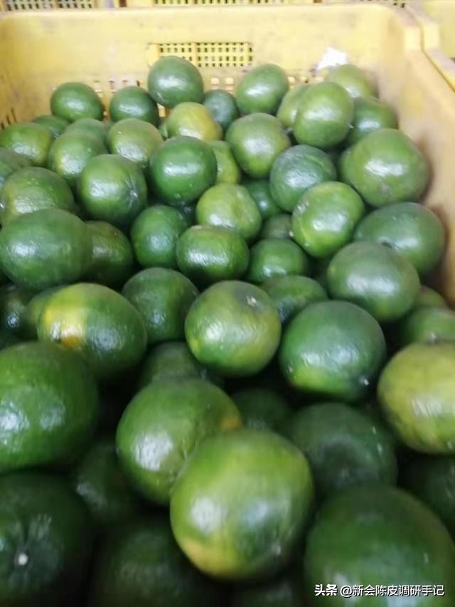 陈皮市场前景如何,新会陈皮市场