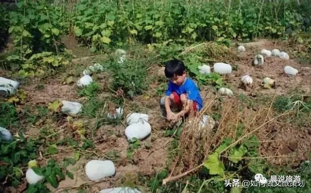 亲子农乐园投资,亲子农乐园经营模式