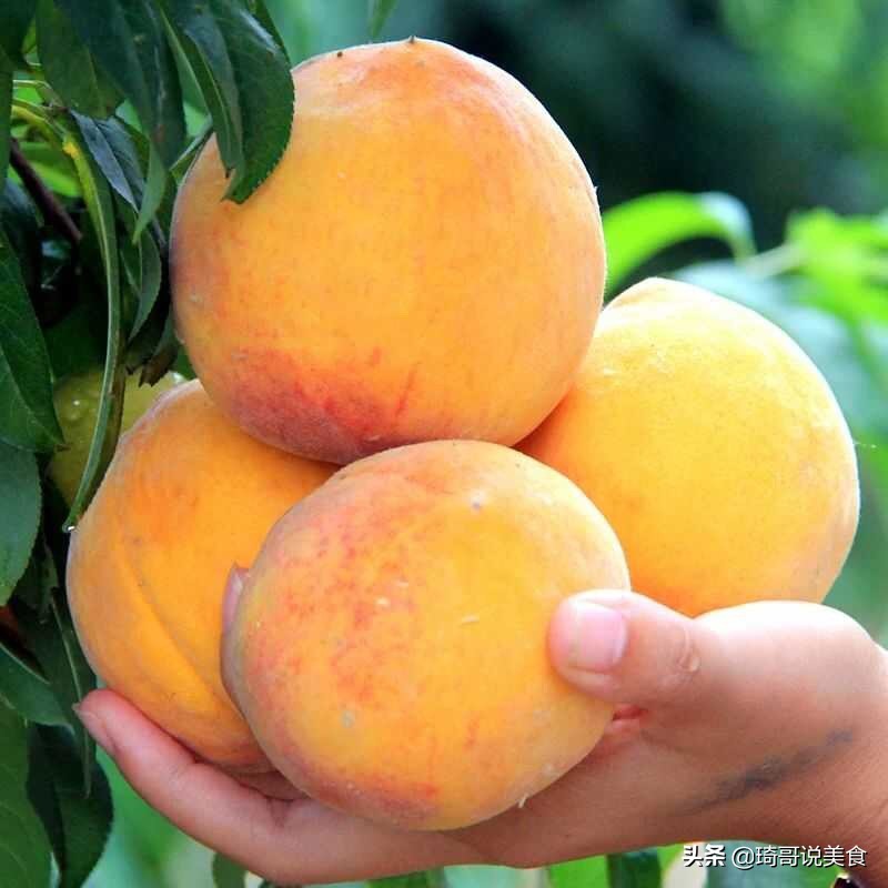 买桃子要怎么挑,买桃子挑公的母的