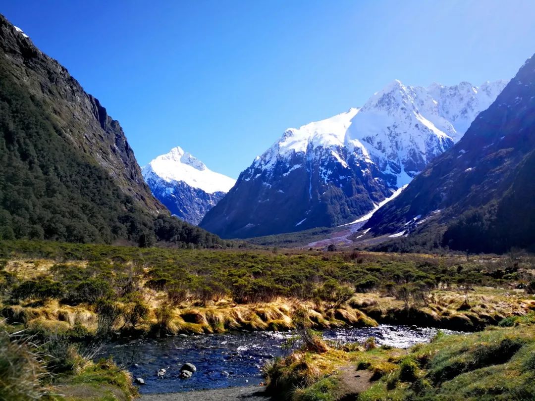 中国小伙去新西兰却横扫对手获得冠军，每份食材在手上都是艺术品