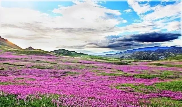 这条最“咸”最彩的公路,治好了我*藏西**的病,解掉了我*疆新**的毒