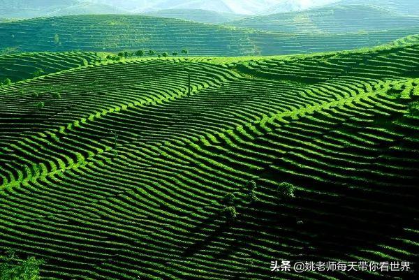 2月旅游灵感,旅游2月攻略最佳自由行