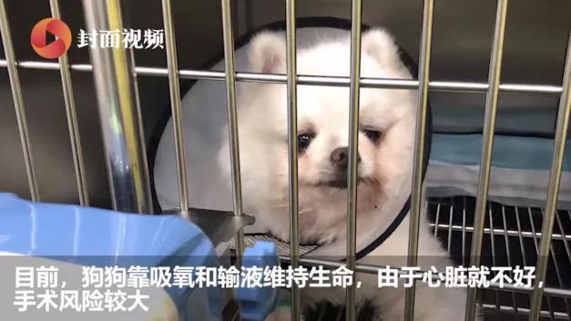 小孩子玩玩具死亡,孩子玩危险玩具死亡