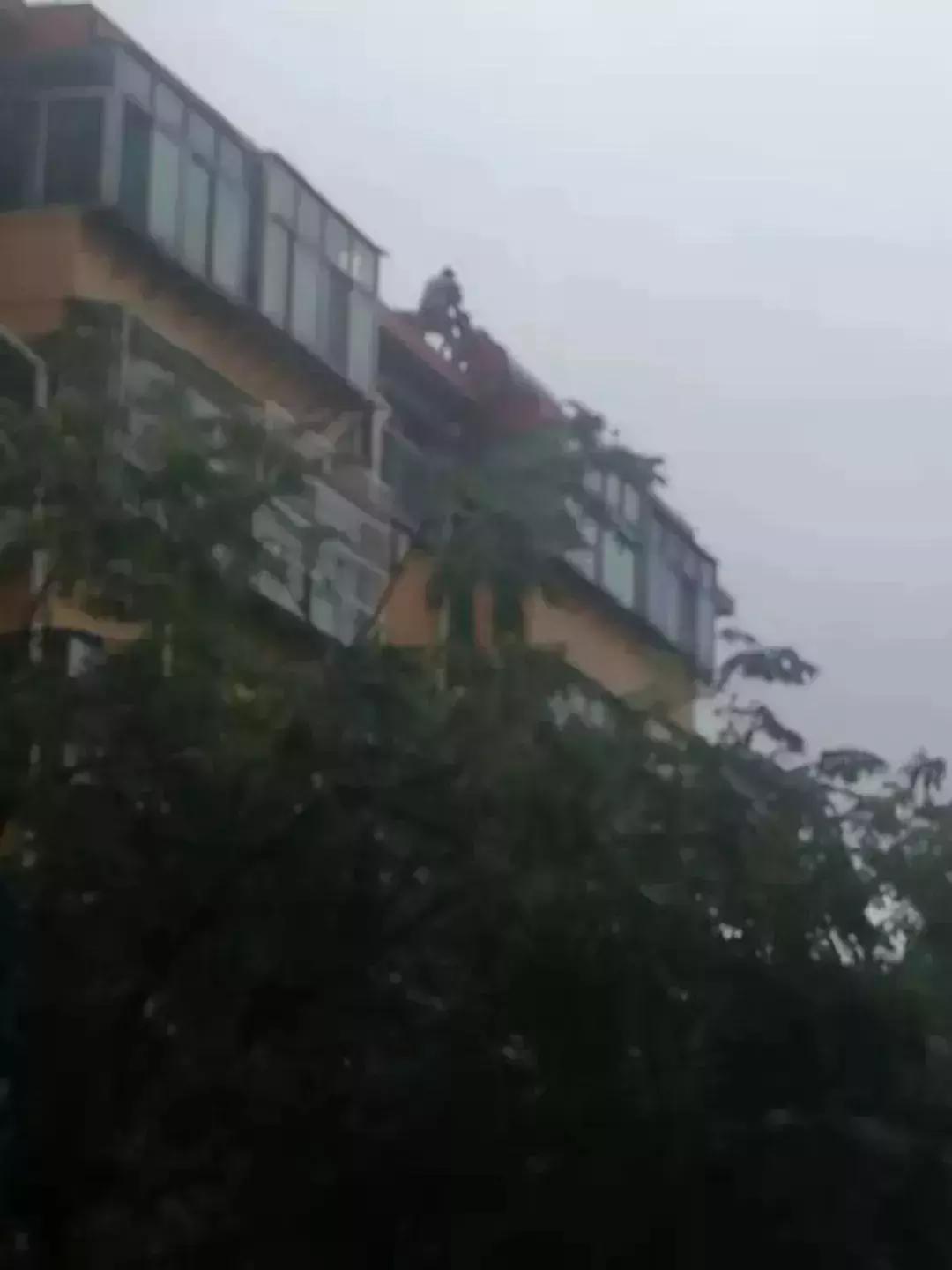 【抗击“利奇马”】风里雨里，总有天使守护你！