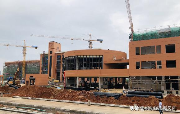 长沙市明德望城中学,望城明德美琪学校咋样