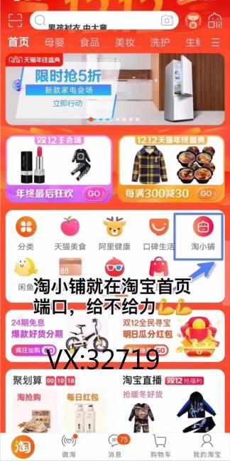 淘小铺加盟利润大吗,淘小铺副业怎么赚钱