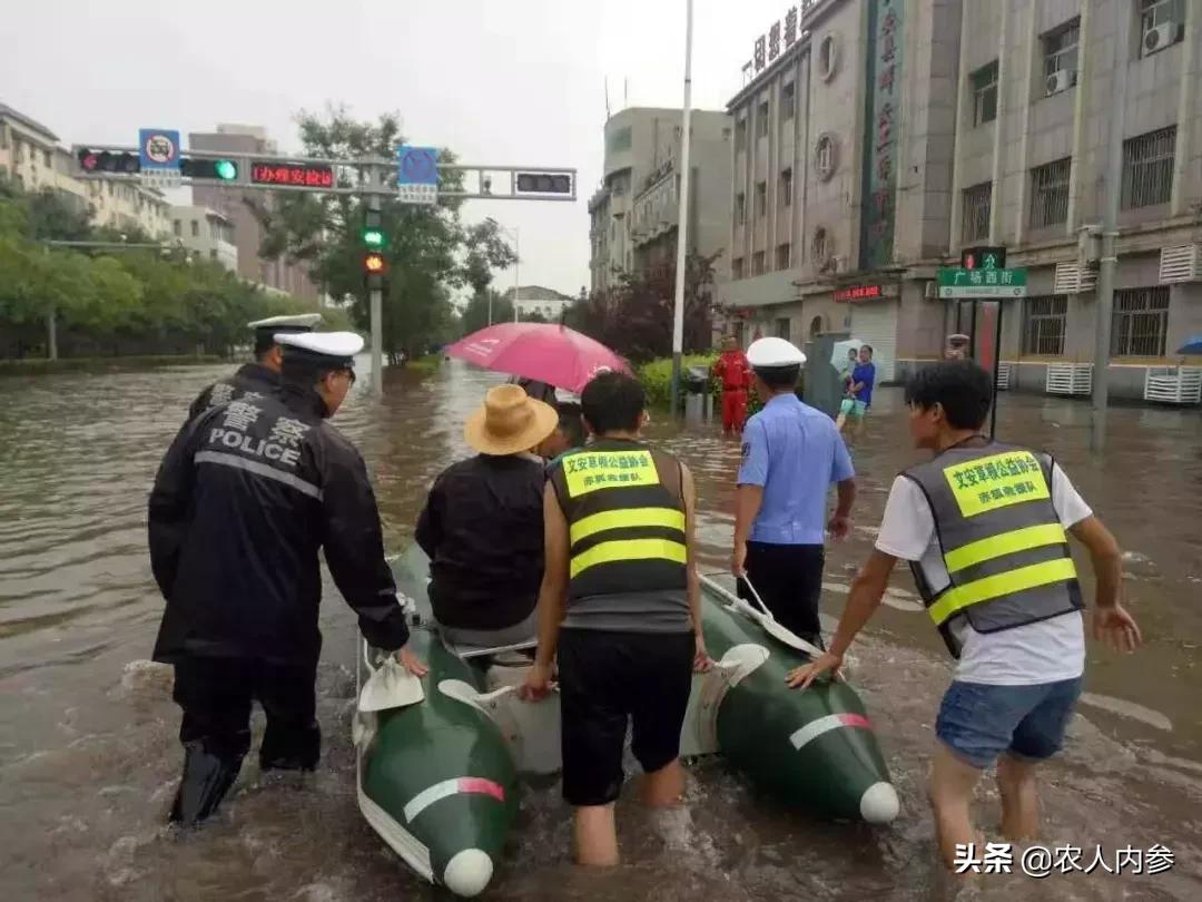 廊坊这11个公益组织了不起!身边藏着这么多“雷锋”!