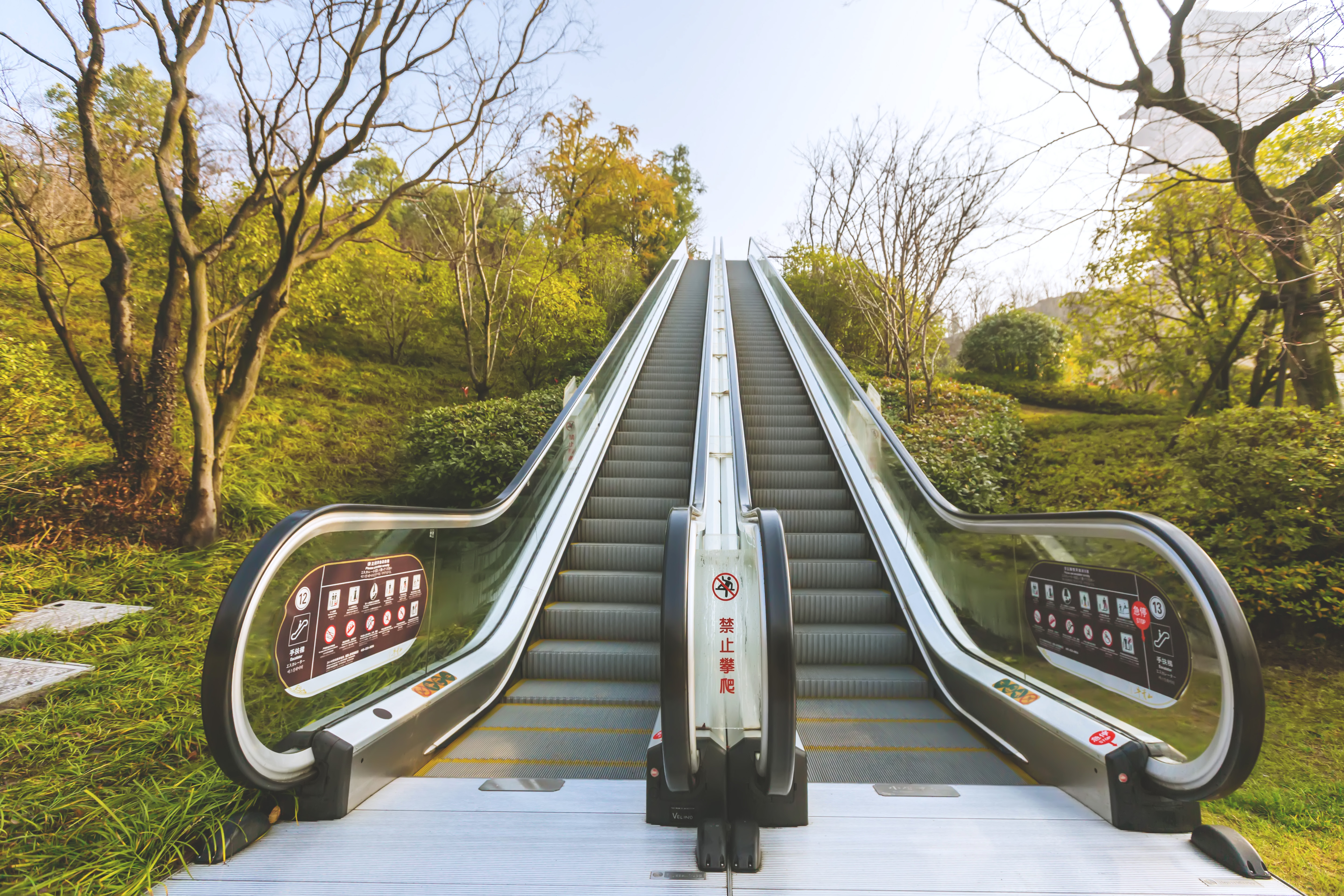 释迦牟尼舍利子头盖骨,释迦牟尼的真身头盖骨