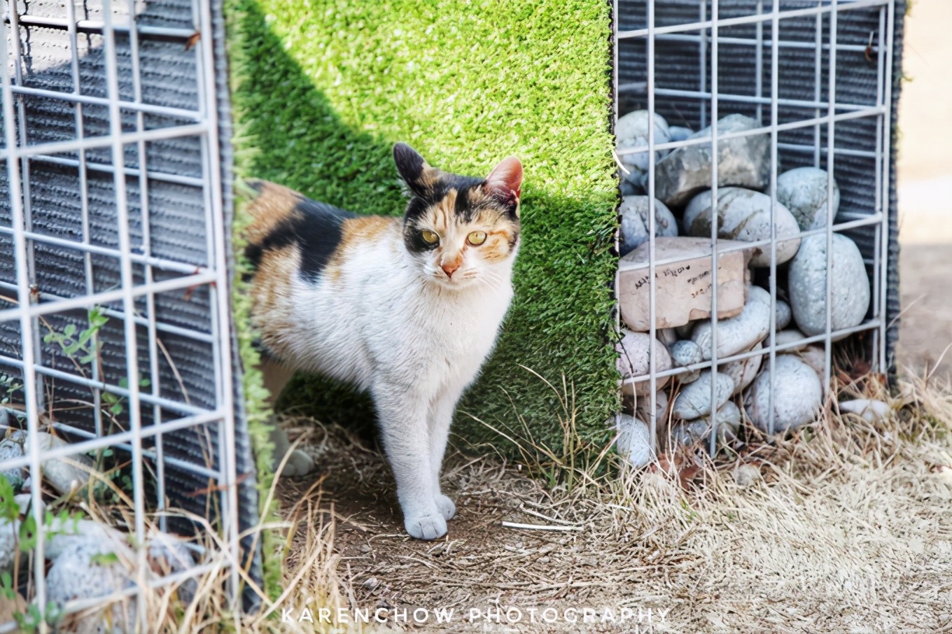 韩国安东美食,韩国釜山必游胜地