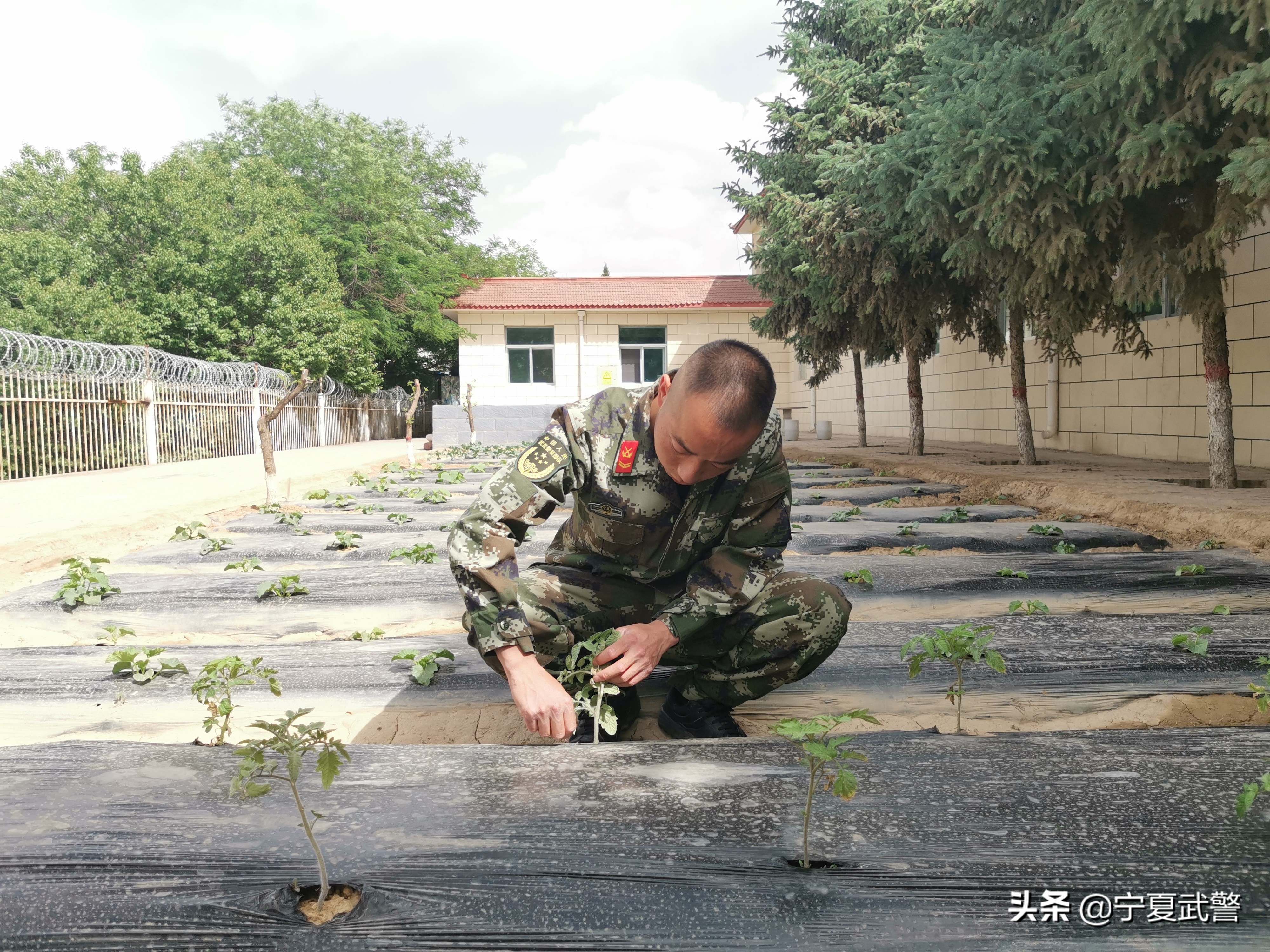 在摸索中继续前进的老班长