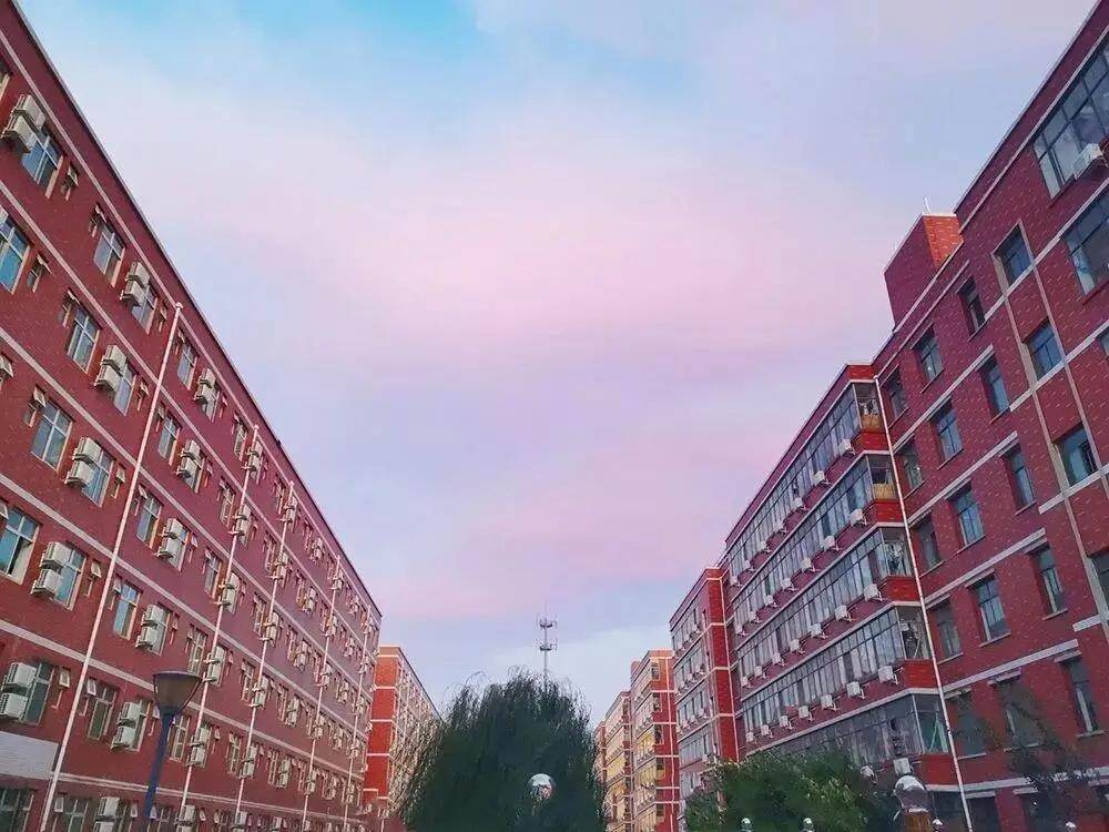 石家庄学院类的学校,石家庄学院的图书馆排名